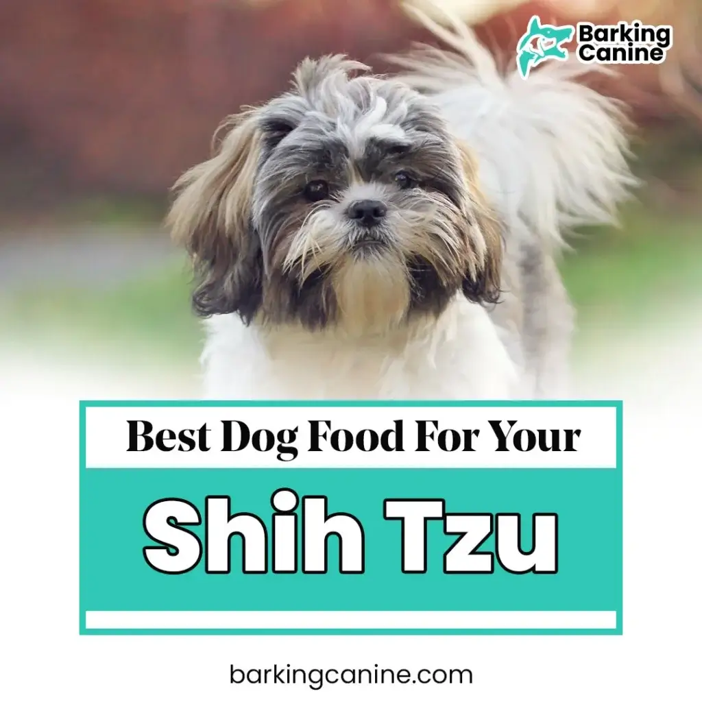 THE BEST DOG FOOD FOR SHIH TZU