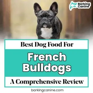 The Best Dog Food for French Bulldogs: A Comprehensive Review
