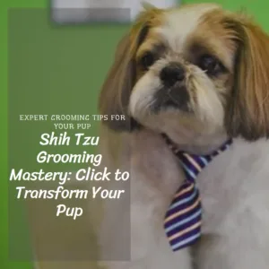 Shih Tzu Grooming Mastery: Click to Transform Your Pup